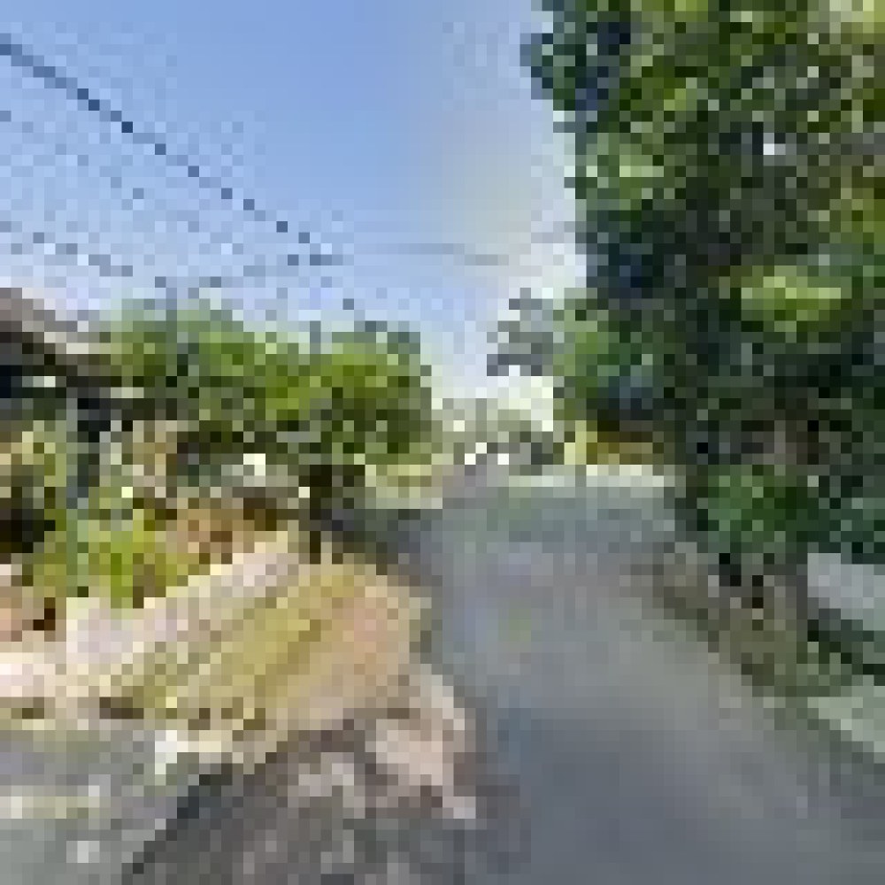 Taman Depan Bougenville