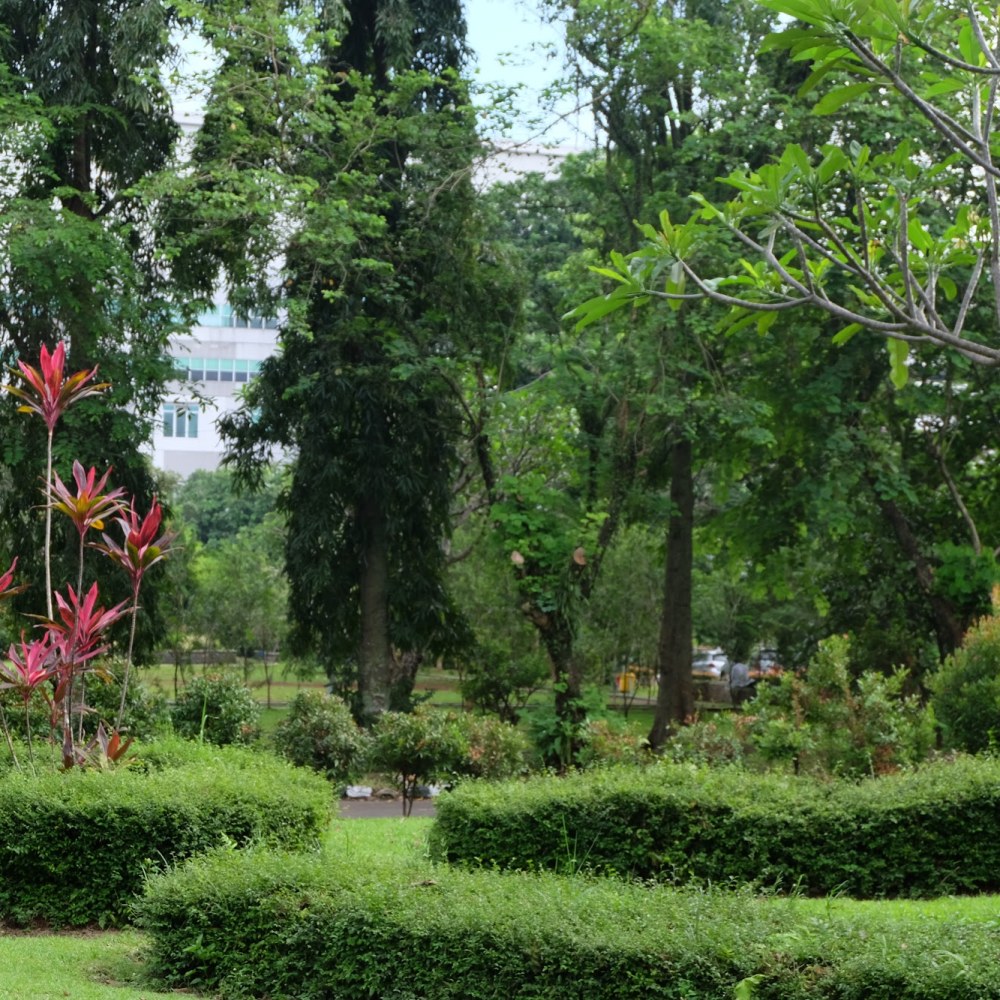 Taman Lansia