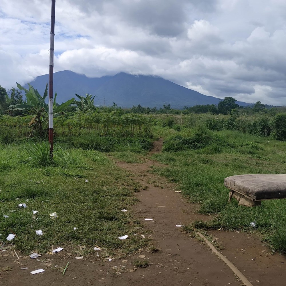 Lapak Damas Merpati
