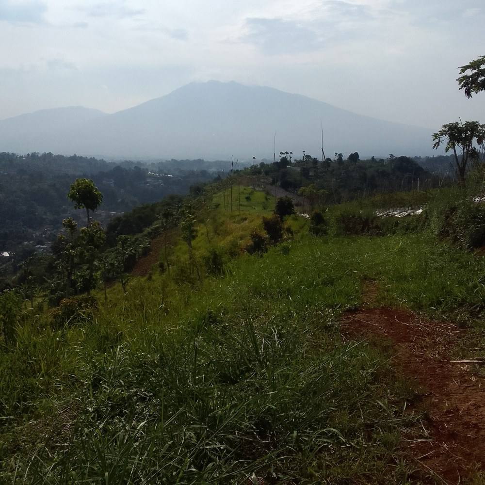 Simple Camp Tangkil