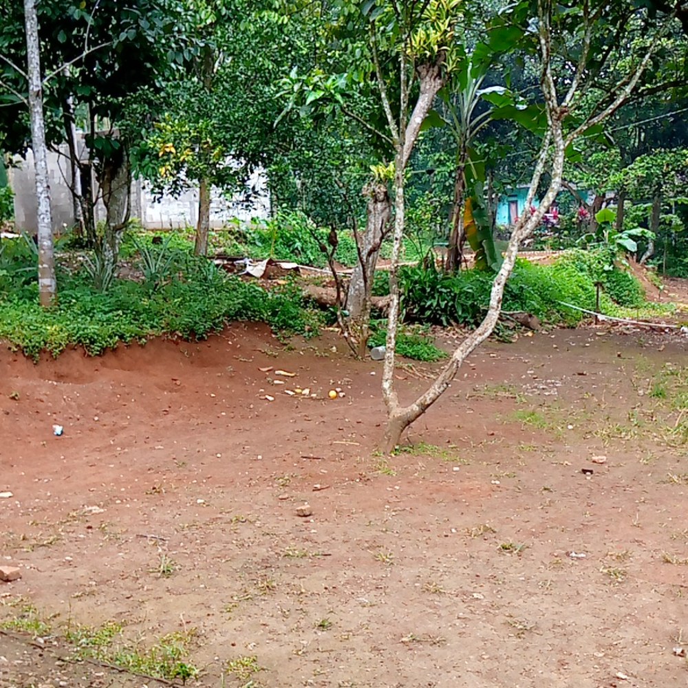 Rumpin Farm