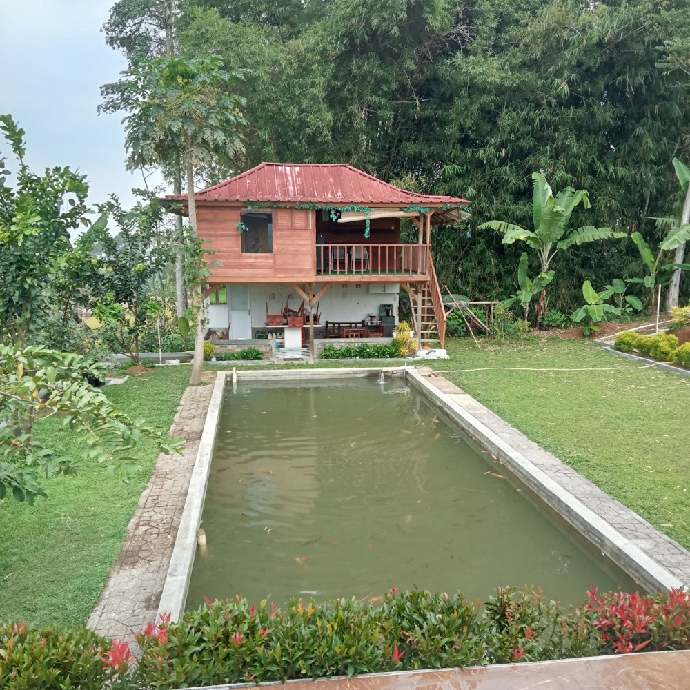 Villa avocado