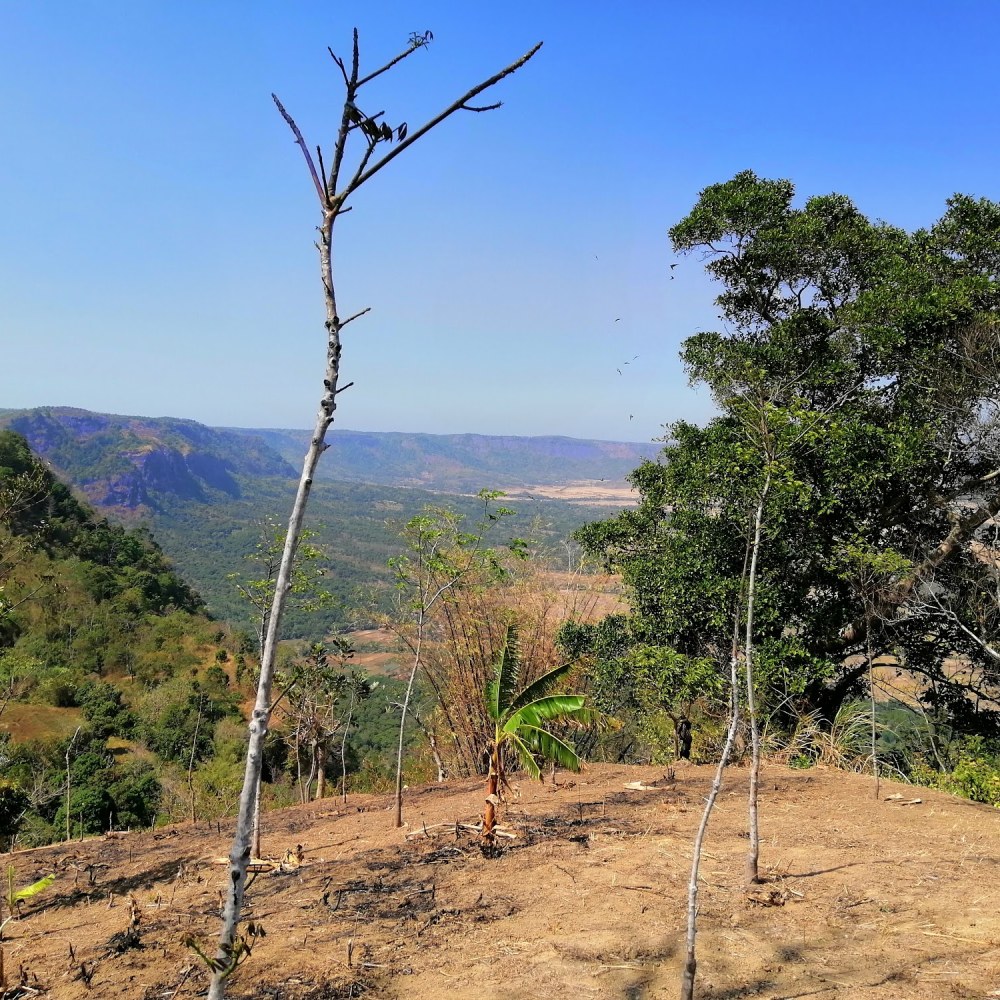 Puncak Abi