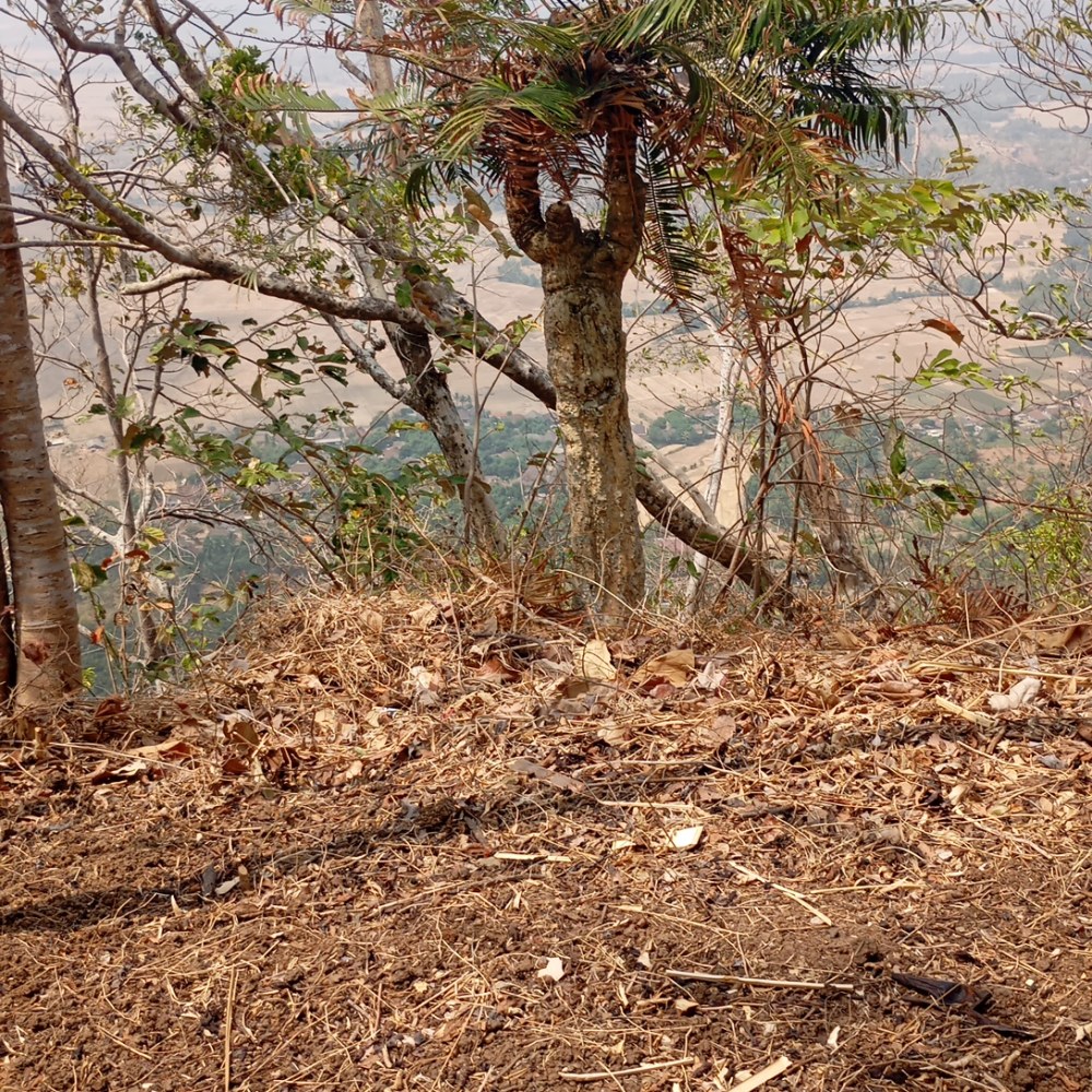Puncak elang gunung masigit