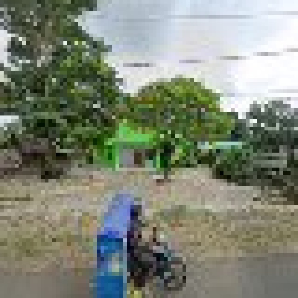Taman Kupu-Kupu
