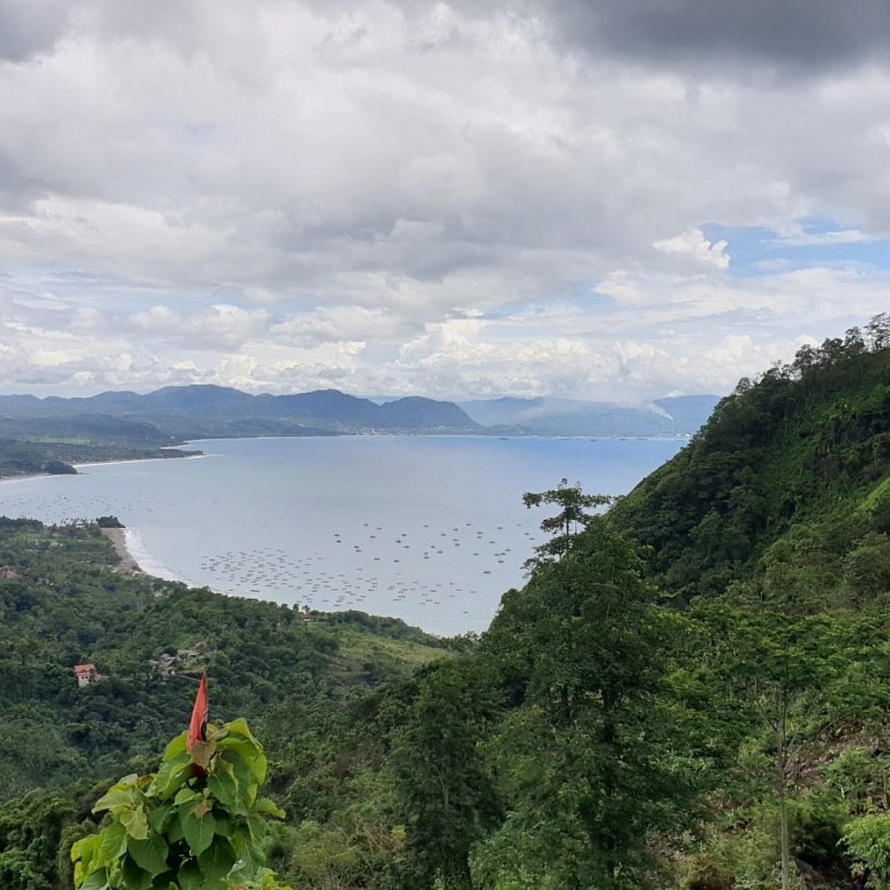 Wr/rm kopi & lesehan bang paul puncak habibi
