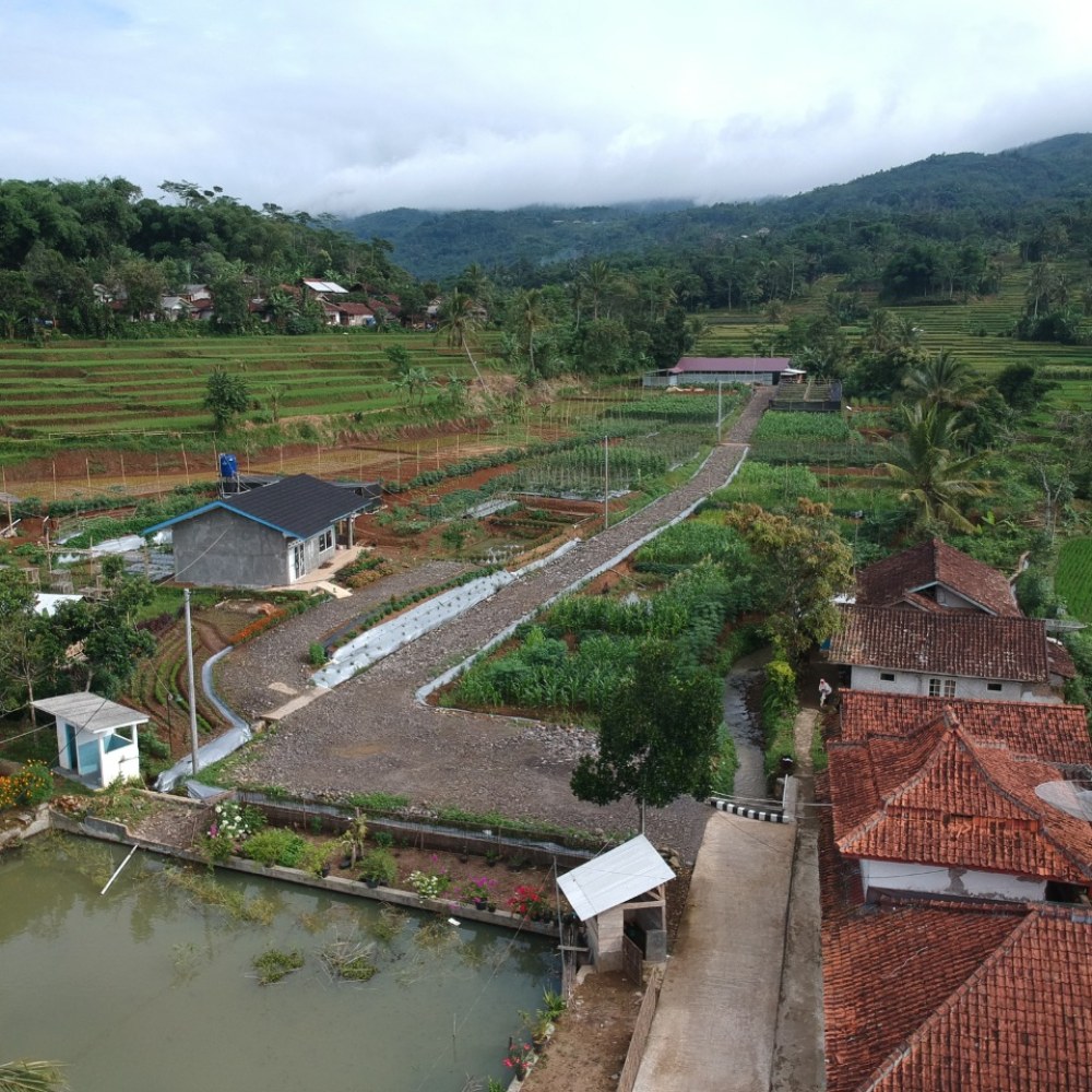 KELOMPOK SWADAYA MASYARAKAT (KSM) YOLANDA CIREUNGHAS TANGINAS" PERTANIAN TERPADU