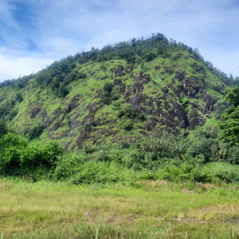 Batu karang view