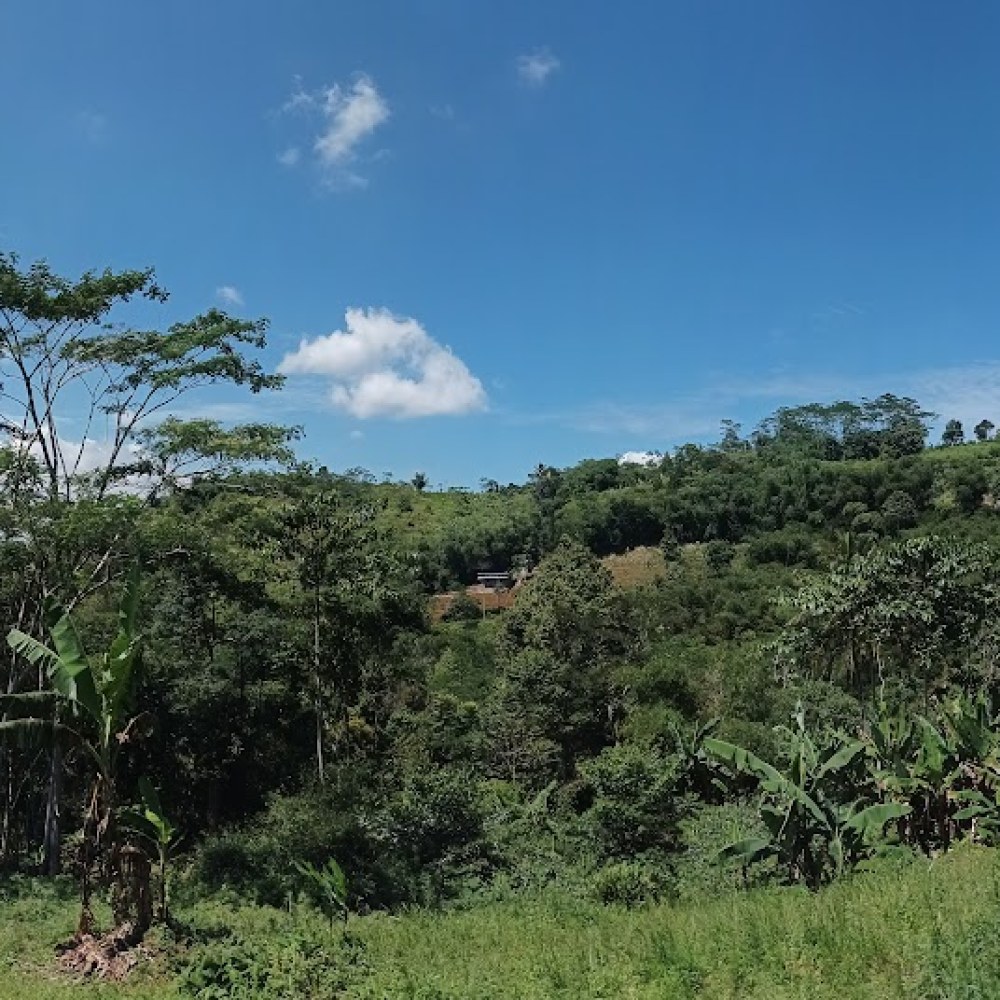 Bukit H. Mpeb