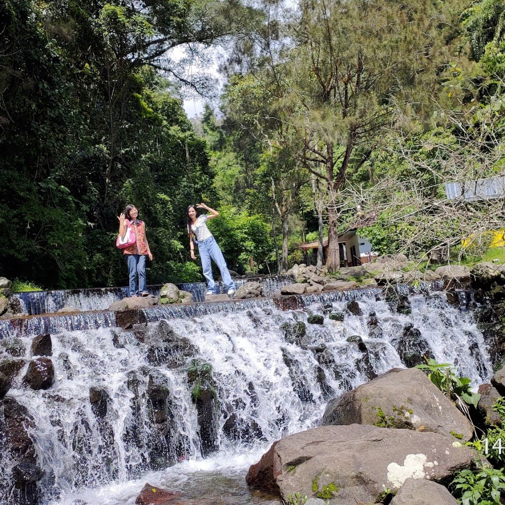Taman Sakura CIBODAS Cianjur