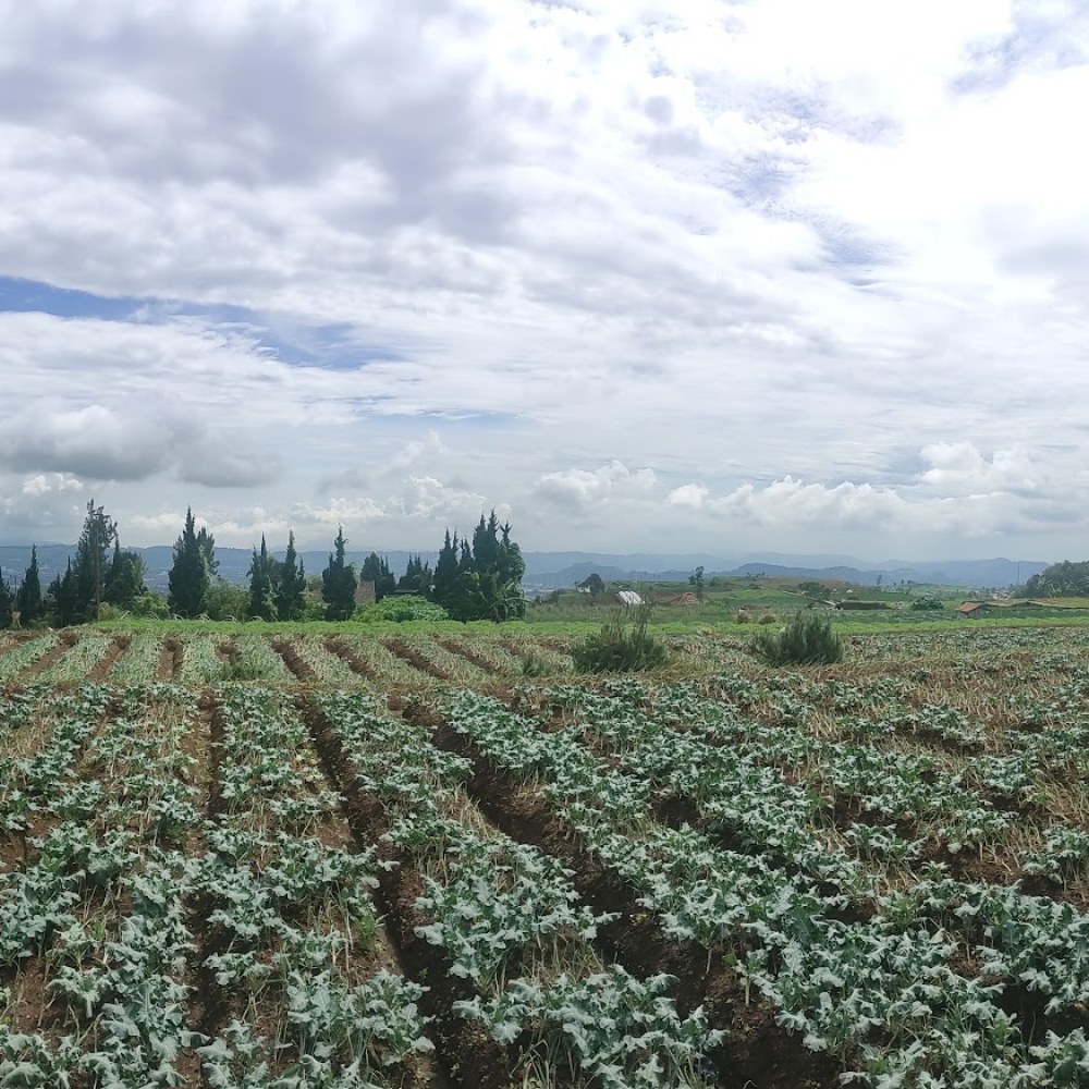 agro