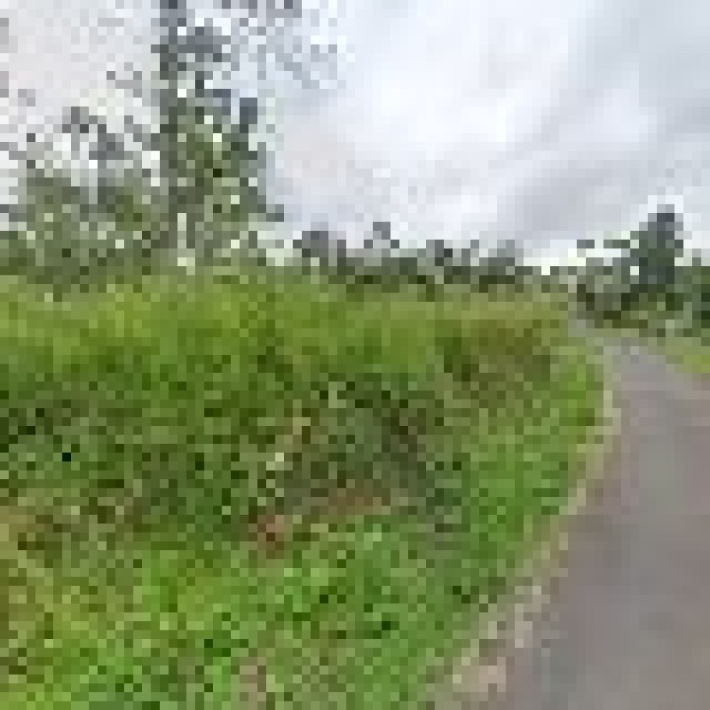 Makom Pangeran Pengampun cianjur