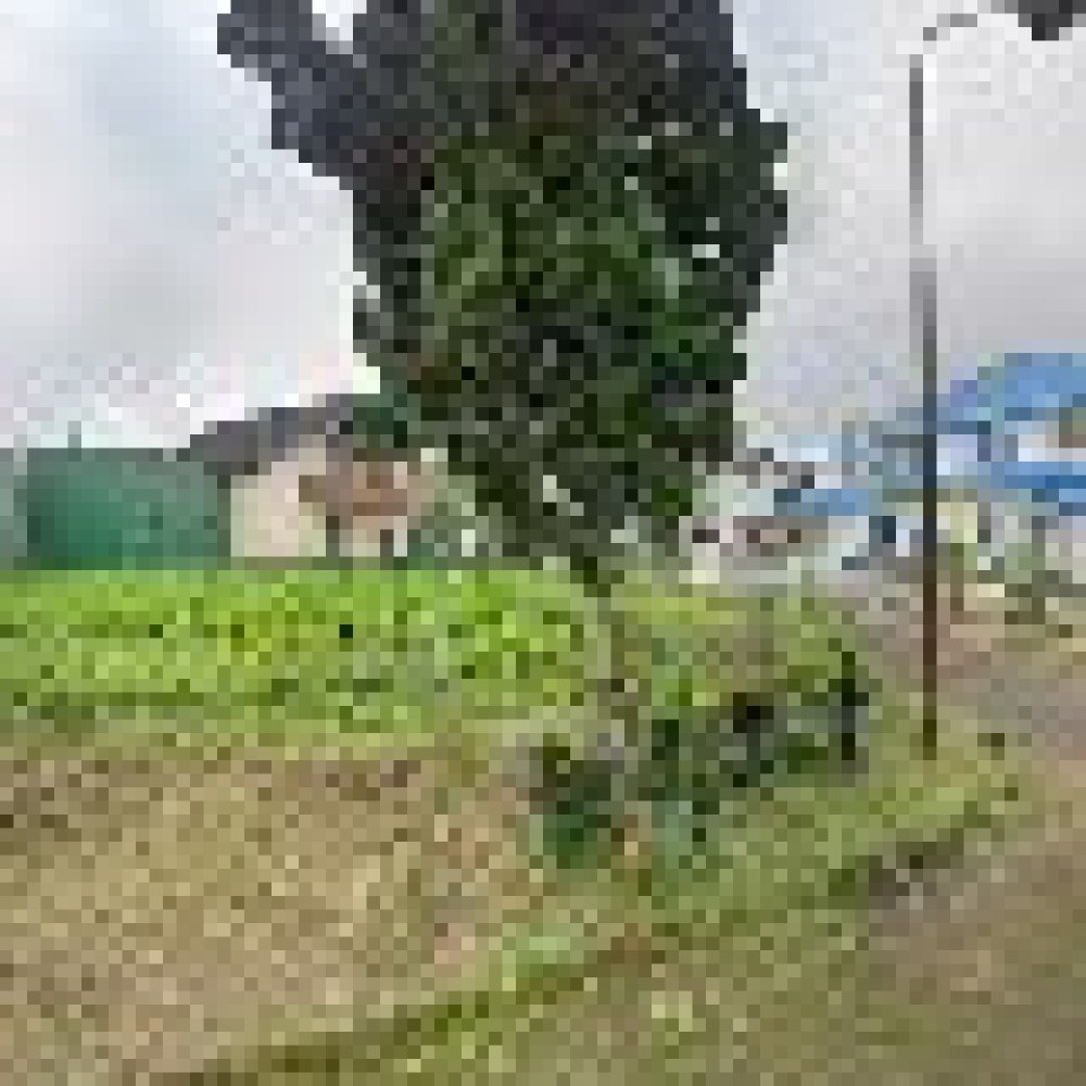 Farm Pak Priyo