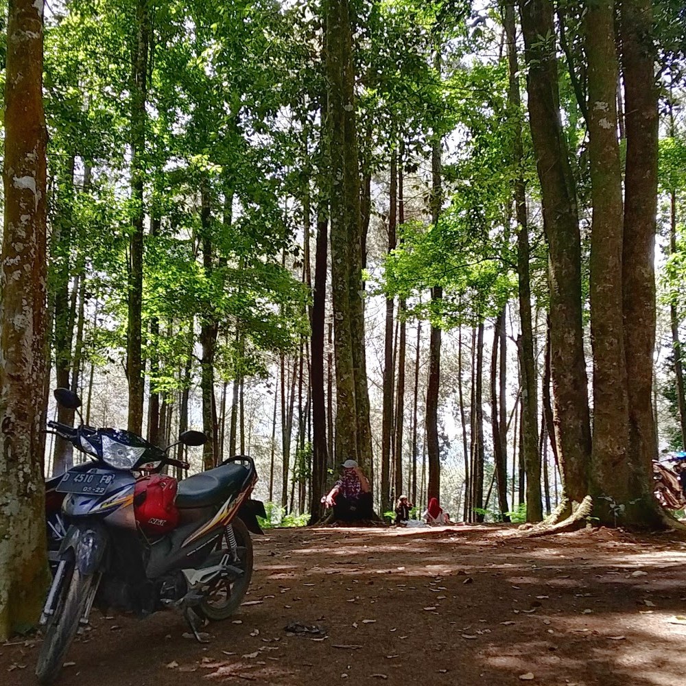 Lembah Tapak
