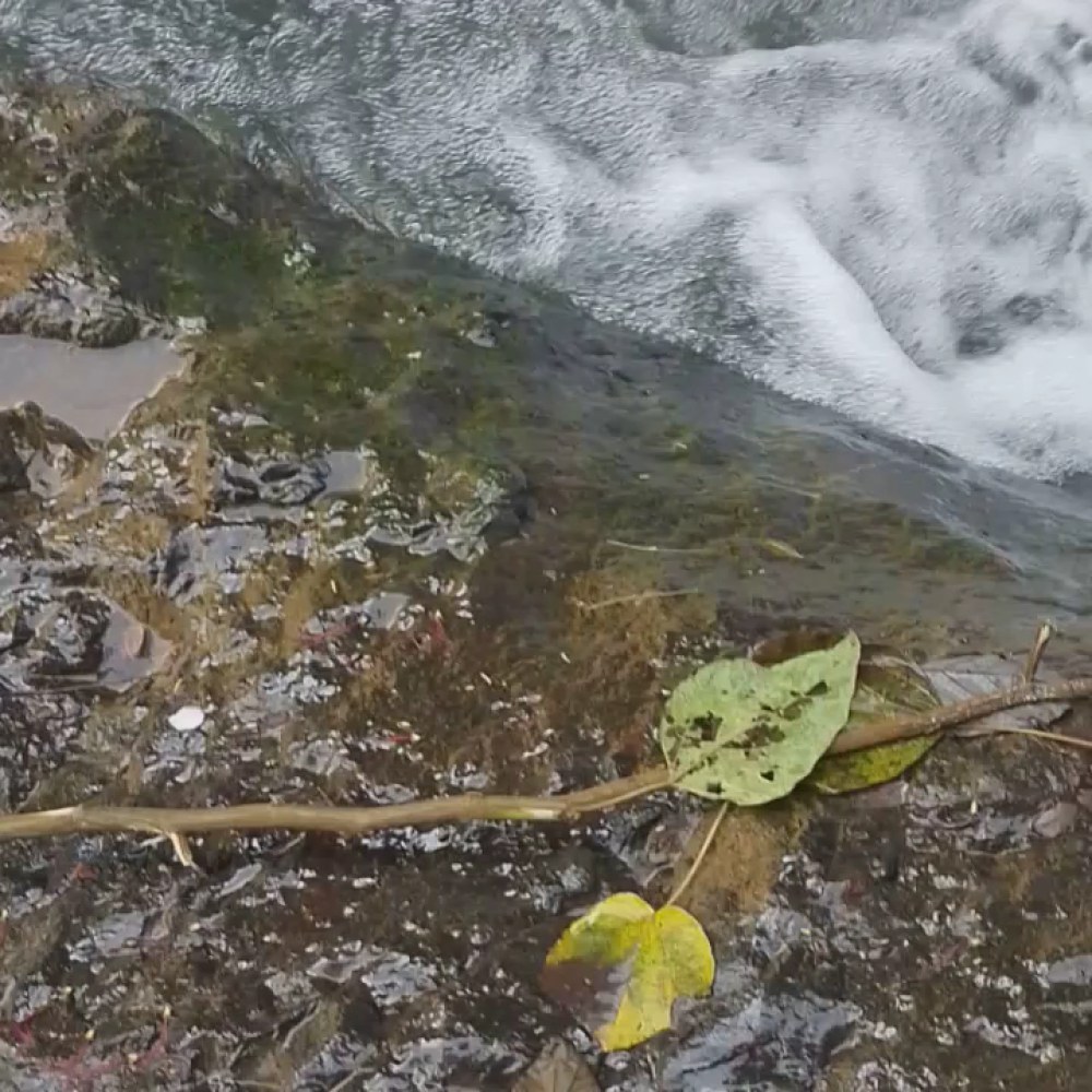Curug munding