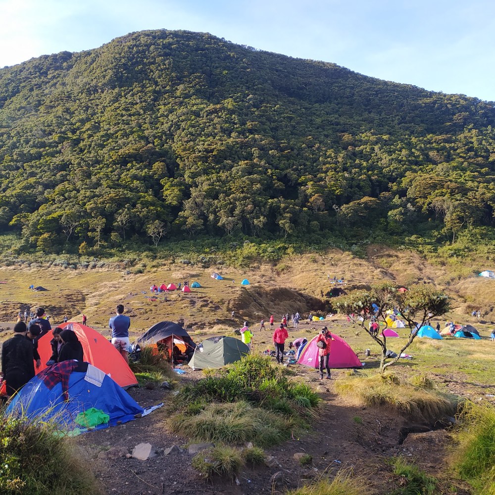 Alun-Alun Suryakencana Gunung Gede