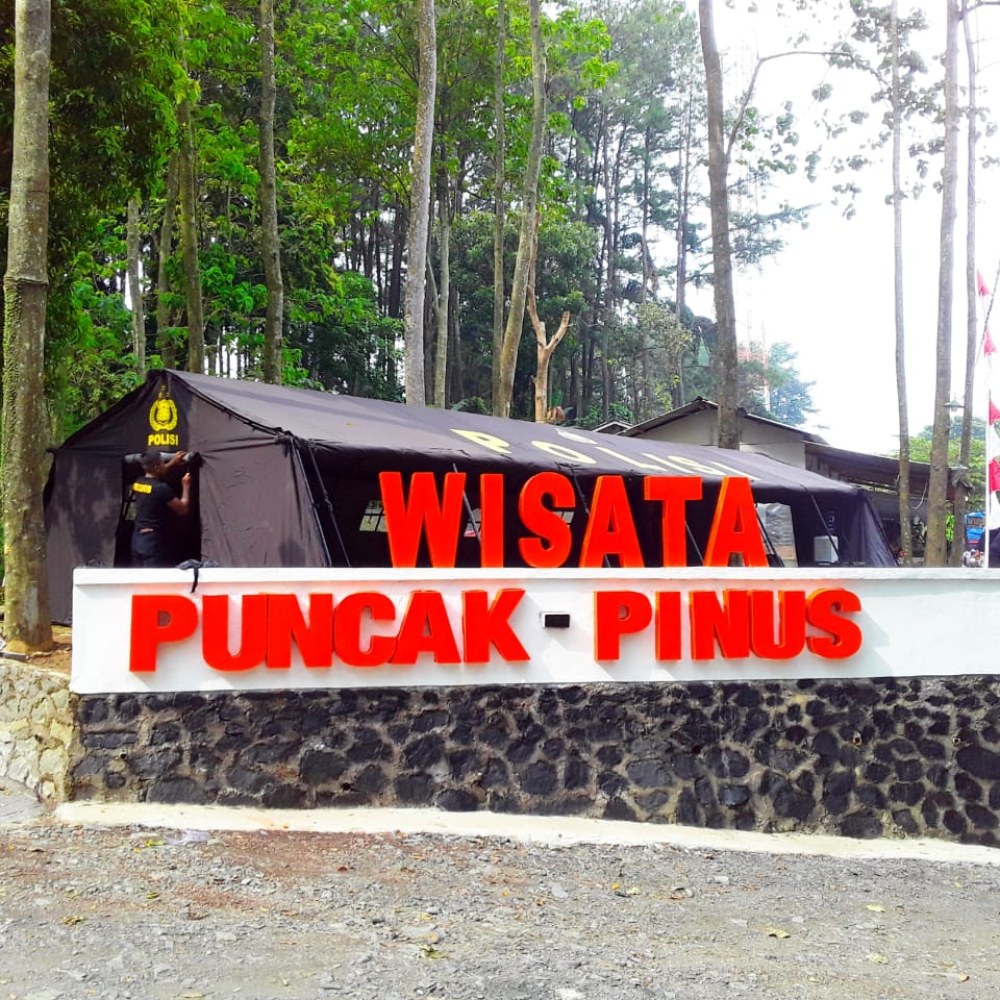 Wisata Puncak Pinus Cikalong-kulon cianjur