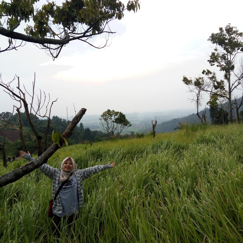 Bukit Jaling