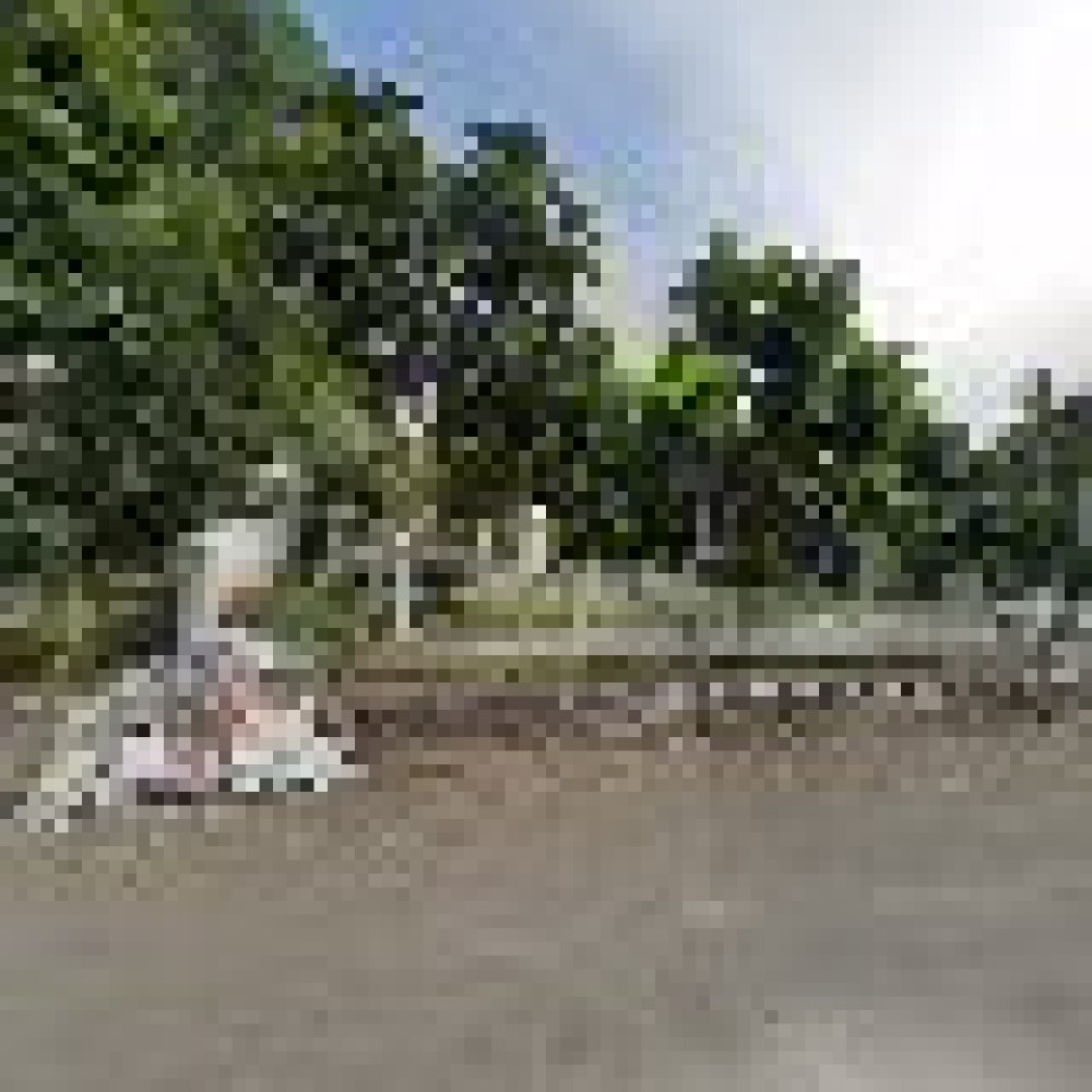 Istana kaoem Cianjur