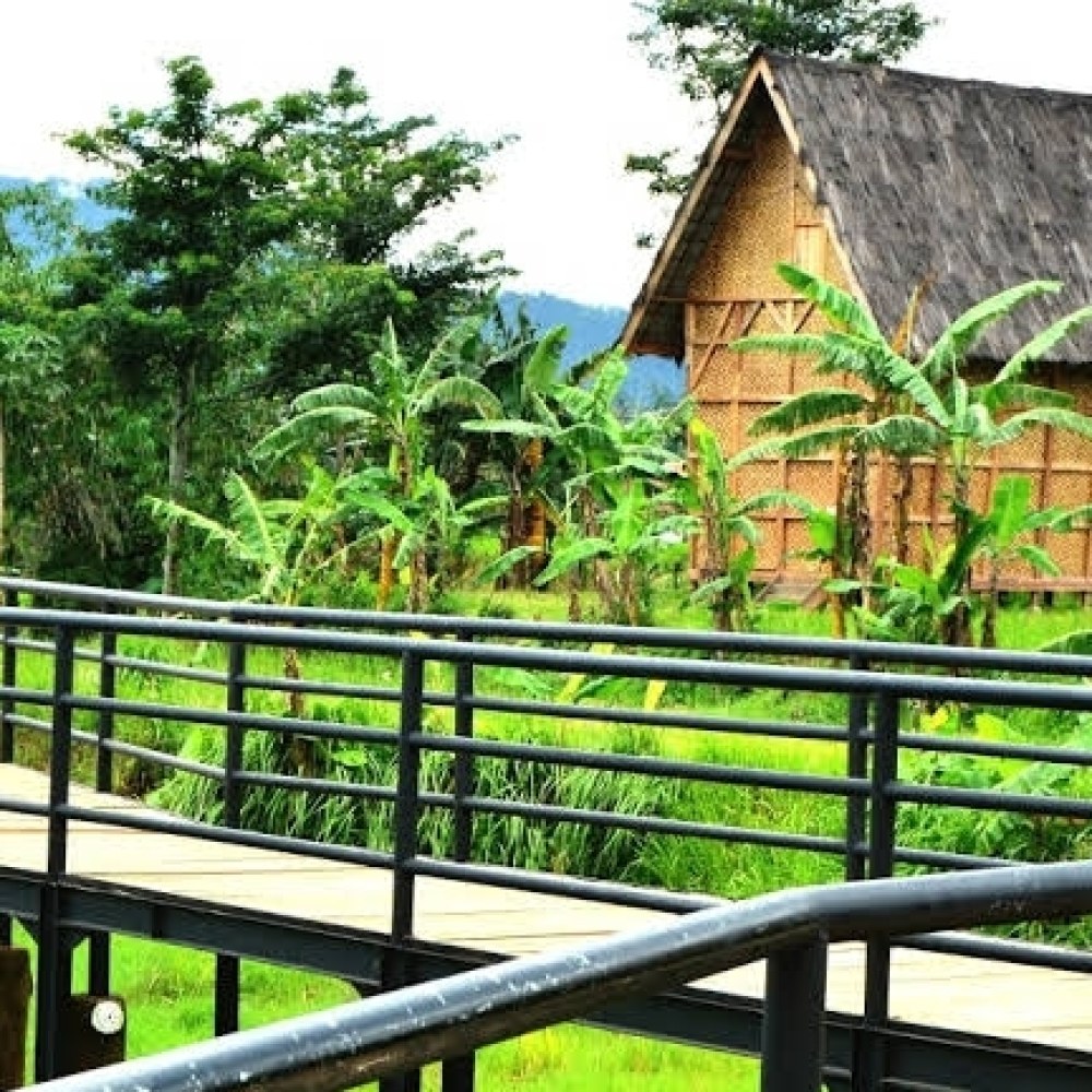Kampung Budaya Padi Pandan Wangi