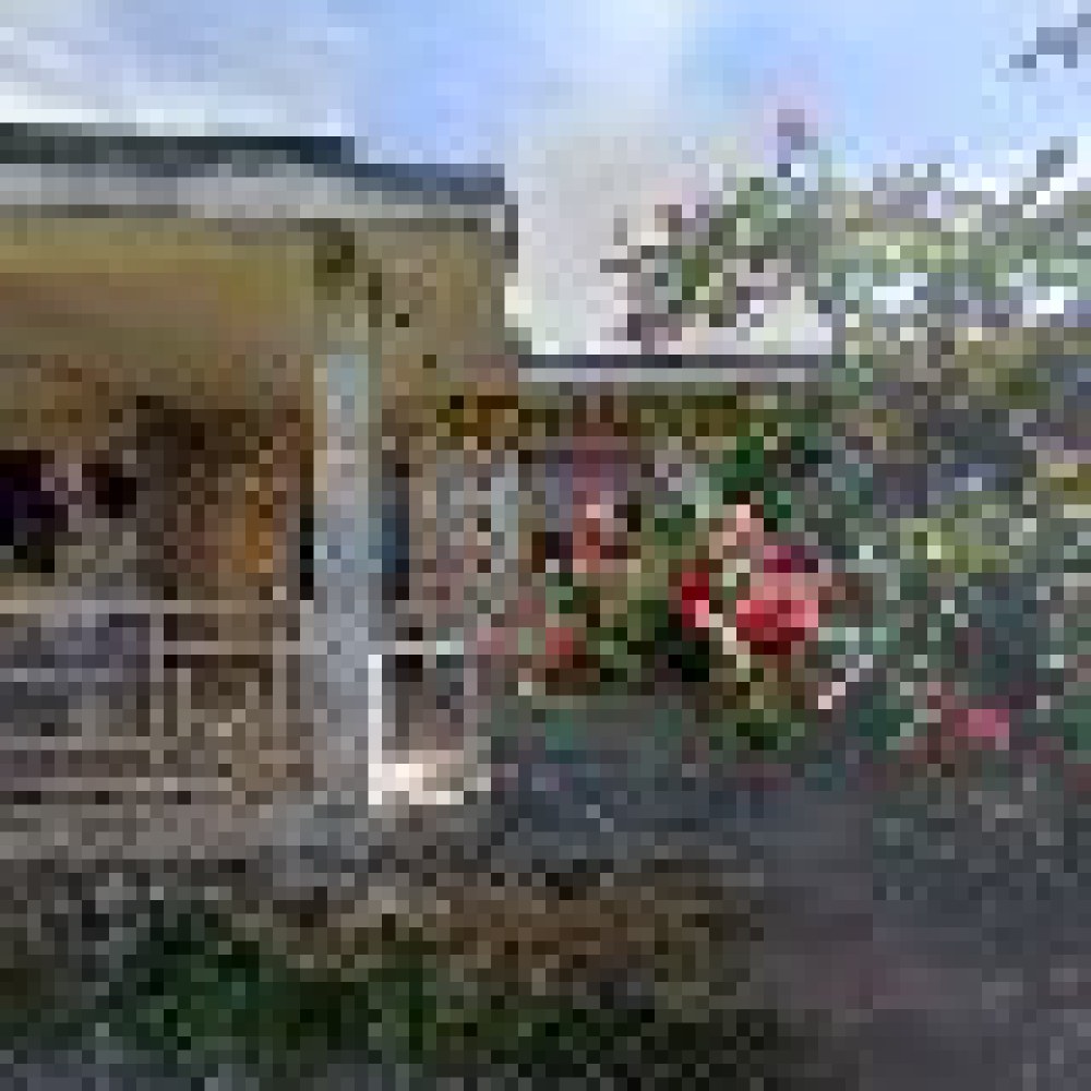 Rumah aldiyansyah amily