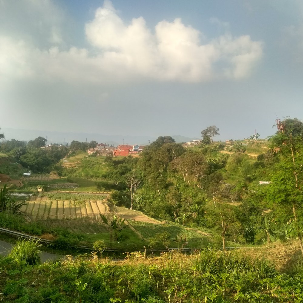 Kawasan Agrowisata Cipanas
