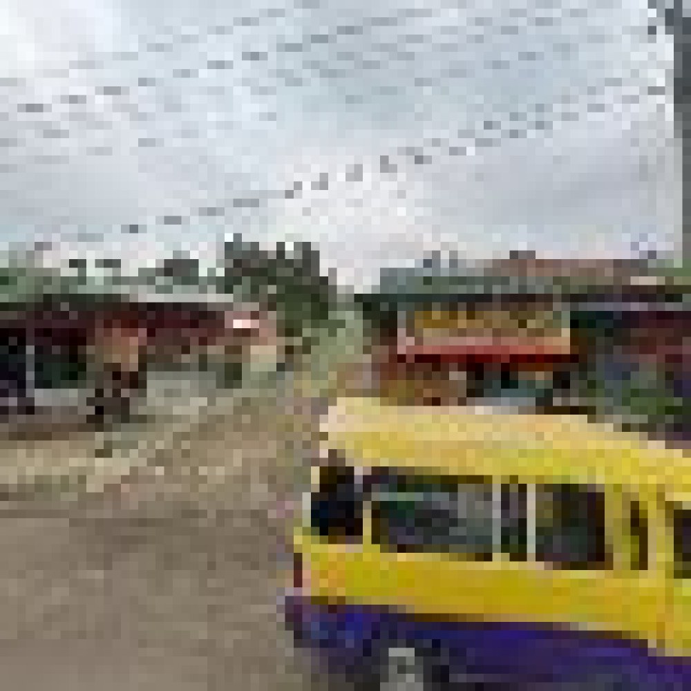 cihandeleum